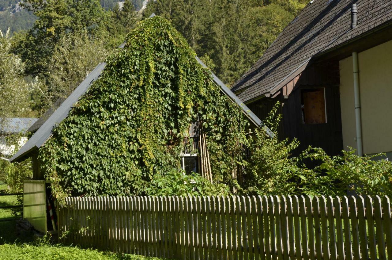 阿德蒙特Haus Rosina别墅 外观 照片