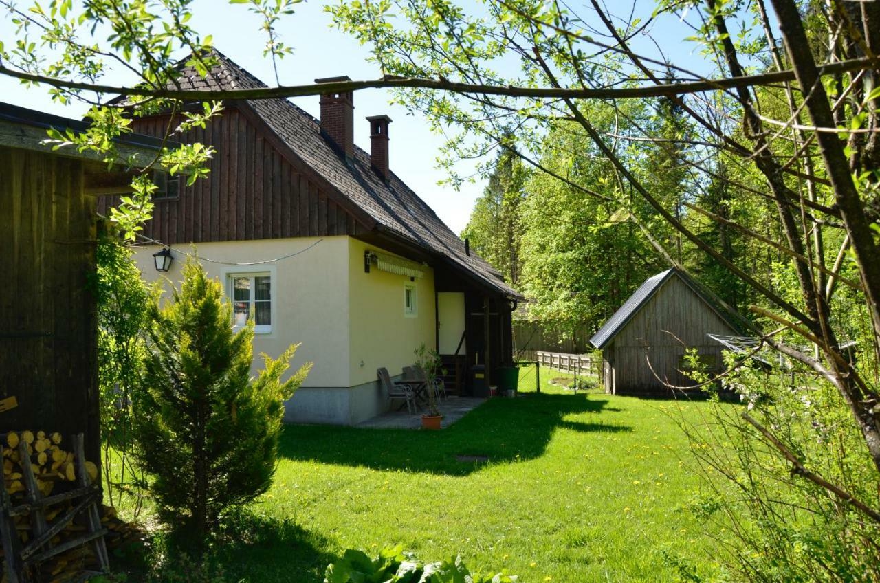 阿德蒙特Haus Rosina别墅 外观 照片